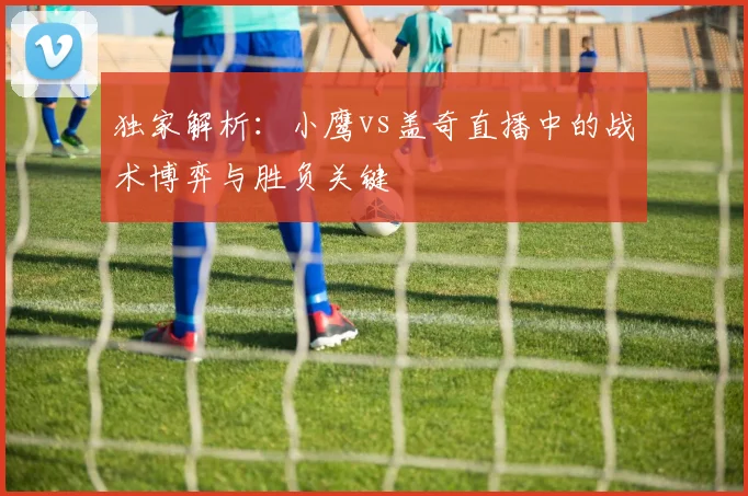 独家解析：小鹰vs盖奇直播中的战术博弈与胜负关键