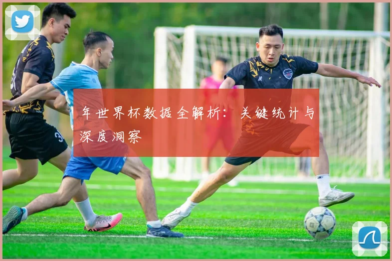 年世界杯数据全解析：关键统计与深度洞察