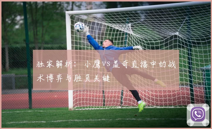独家解析：小鹰vs盖奇直播中的战术博弈与胜负关键