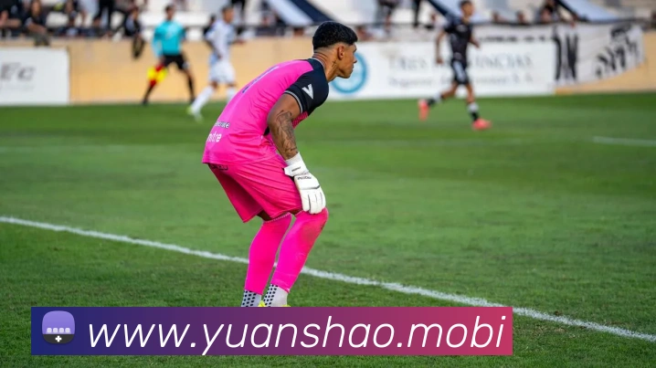 开云手机在线登陆入口APP 体育赛事宣传图